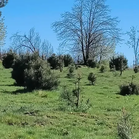 캠프장 Eco-bungalow Com Vista Serra Da Estrela Pinhal *