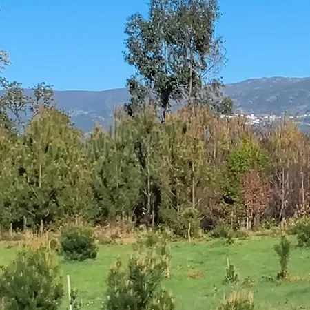 Eco-bungalow Com Vista Serra Da Estrela Pinhal * Folgosa da Madalena