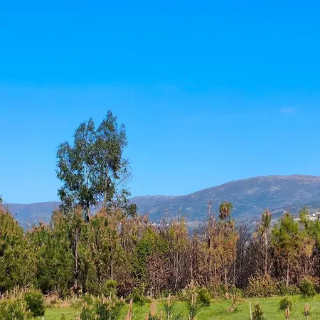 캠프장 Eco-bungalow Com Vista Serra Da Estrela Pinhal